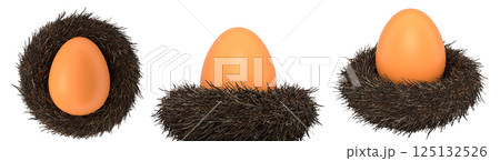 Brown eggs in bird nests isolated on white transparent background. 125132526