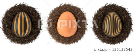 Elegant black eggs with gold patterns in bird nests, isolated on white transparent background. Elegant black eggs with gold patterns in bird nests, isolated on white transparent background. 125132542