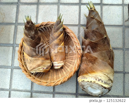 新鮮なタケノコ 春の味覚 新鮮なタケノコ 春の味覚 125132622