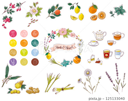 手描きのハーブとティーセットのイラスト 手描きのハーブとティーセットのイラスト 125133040