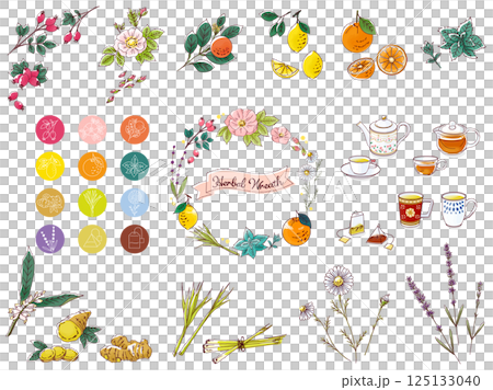 手繪草藥和茶具插圖 125133040