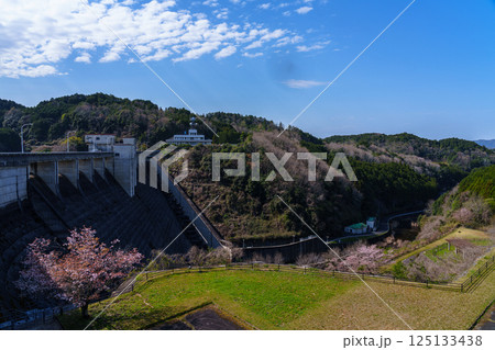 桜の季節の布目ダム　ダムサイト北東側に広がる広場と布目川① 125133438