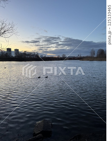 Tranquil Lakeside View with Ducks and Cloudy Sunset 125133465