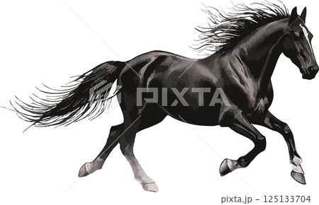 年賀2026　年賀状2026　馬　午　干支　墨絵　水墨画　和風　シルエット　デザイン　イラスト素材 125133704