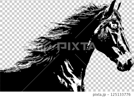 New Year 2026 New Year's card 2026 Horse Horse Zodiac Sumi-e Ink painting Japanese style Silhouette Design Illustration material New Year 2026 New Year's card 2026 Horse Horse Zodiac Sumi-e Ink painting Japanese style Silhouette Design Illustration material 125133776