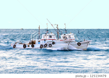 しらす漁船　二隻（ペア）で漁をします 125134479