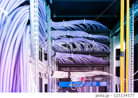 large group of UTP cables, Ethernet cables in rack cabinet, lead large group of UTP cables, Ethernet cables in rack cabinet, lead 125134577