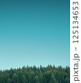 青空と木：コピースペースのある背景　AI生成画像 125134653
