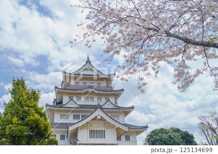 【千葉県千葉市】春の桜と亥鼻公園・亥鼻城跡・千葉市立郷土博物館 【千葉県千葉市】春の桜と亥鼻公園・亥鼻城跡・千葉市立郷土博物館 125134699