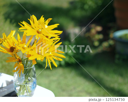 ガラスの花瓶にいけられたルドベキア ガラスの花瓶にいけられたルドベキア 125134730