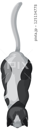 Top-Down View of a Catのイラスト素材 [125134778] - PIXTA