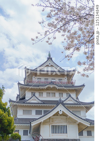 【千葉県千葉市】春の桜と亥鼻公園・亥鼻城跡・千葉市立郷土博物館 【千葉県千葉市】春の桜と亥鼻公園・亥鼻城跡・千葉市立郷土博物館 125134849