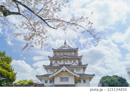 【千葉県千葉市】春の桜と亥鼻公園・亥鼻城跡・千葉市立郷土博物館 125134850