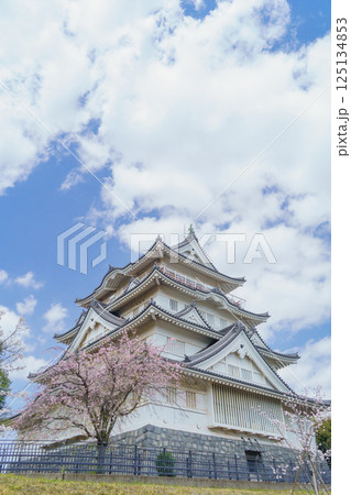 【千葉県千葉市】春の桜と亥鼻公園・亥鼻城跡・千葉市立郷土博物館 【千葉県千葉市】春の桜と亥鼻公園・亥鼻城跡・千葉市立郷土博物館 125134853