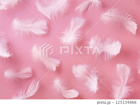 ふんわりした白い羽根 ピンク背景 ふんわりした白い羽根 ピンク背景 125134866