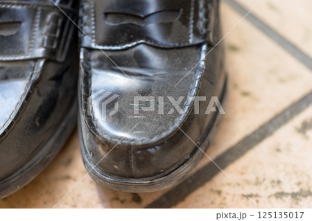 various various 125135017