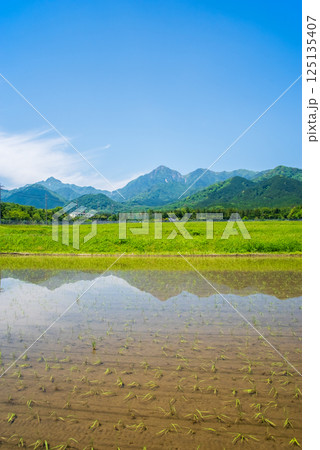 田植えを終えた御在所岳山麓の田園地帯(三重県菰野町) 田植えを終えた御在所岳山麓の田園地帯(三重県菰野町) 125135407