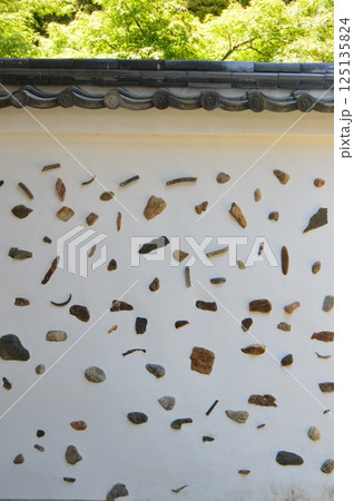 おしゃれな築地塀(萬福寺/京都府宇治市五ケ庄三番割34) おしゃれな築地塀(萬福寺/京都府宇治市五ケ庄三番割34) 125135824