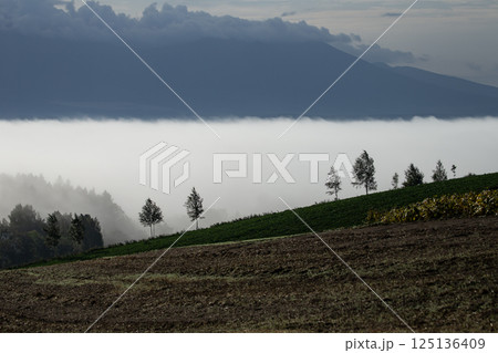 朝霧の大地 朝霧の大地 125136409
