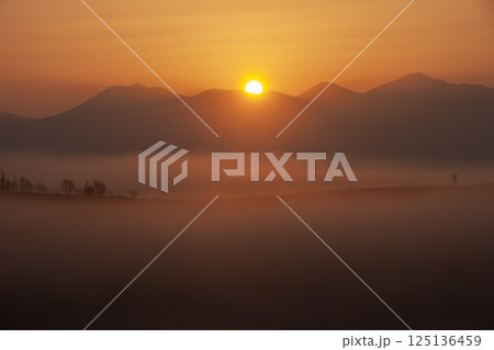 十勝岳連峰の夜明け 125136459