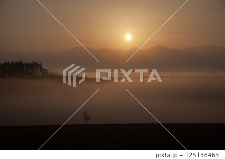十勝岳連峰の夜明け 十勝岳連峰の夜明け 125136463