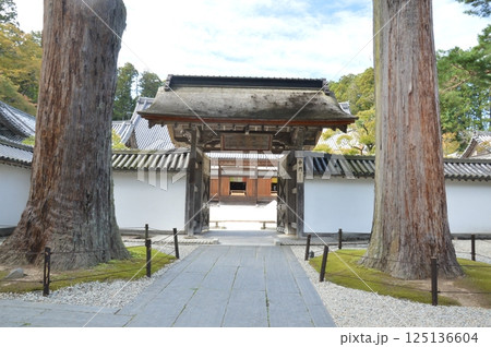 中門・本堂・杉木立（瑞巌寺／宮城県宮城郡松島町） 125136604