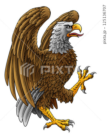 Eagle Coat of Arms Crest Shied Heraldic Animal 125136707