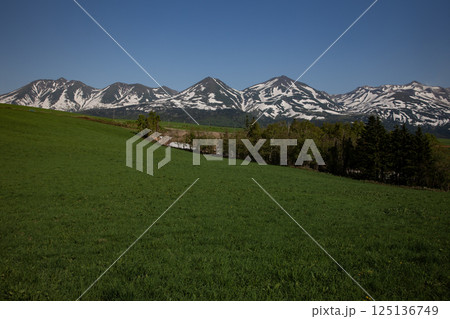 十勝岳連峰と残雪の大地 125136749