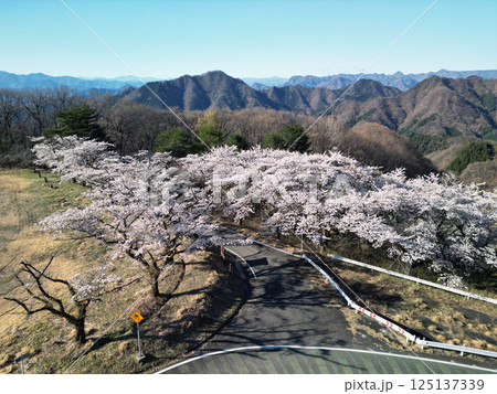 妙義山とさくらの里 125137339