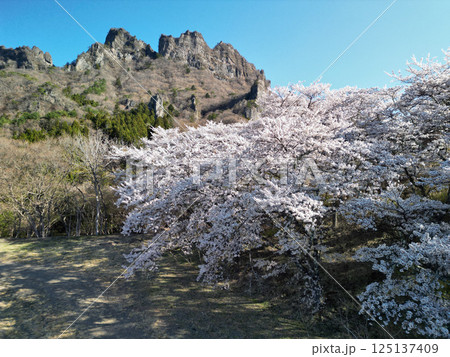 妙義山とさくらの里 妙義山とさくらの里 125137409