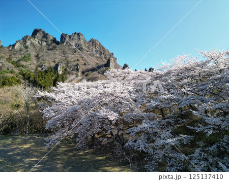 妙義山とさくらの里 125137410