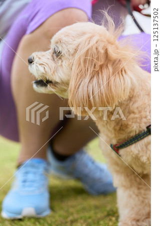 飼い主とジョギングを楽しむ犬 125137502