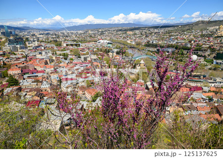Cityscape aerial panoramic view of Tbilisi, capital of Georgia 125137625