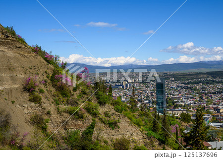 Cityscape view of Tbilisi, the capital of Georgia 125137696