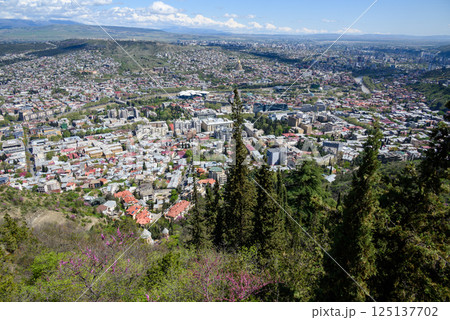 Cityscape view of Tbilisi, the capital of Georgia 125137702