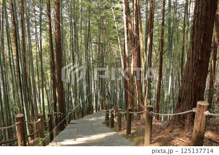 滋賀県　麓から山頂まで続く日向山の石階段 125137714