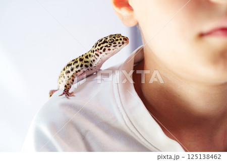 Child interacts with a leopard gecko on his shoulder in a light-filled indoor setting Child interacts with a leopard gecko on his shoulder in a light-filled indoor setting 125138462