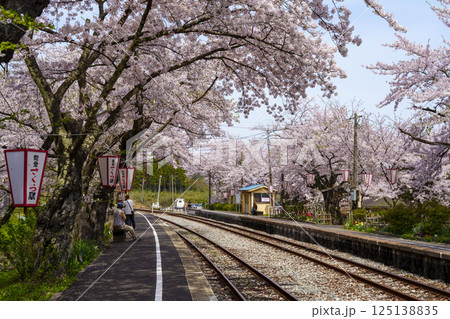 能登さくら駅の愛称があるのと鉄道の能登鹿島駅の満開の桜 能登さくら駅の愛称があるのと鉄道の能登鹿島駅の満開の桜 125138835