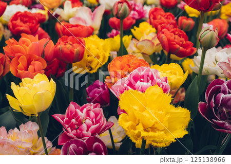 Blooming flowers. Blooming flowers. 125138966