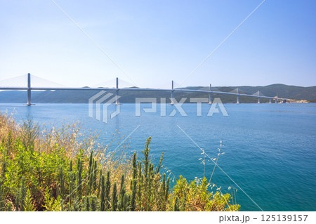 The Peljesac Bridge to Peljesac peninsula in Croatia, Europe. Cable-stayed bridge spanning over the water, seen from coastline with vibrant plants under a clear sky. Serene coastal vista. The Peljesac Bridge to Peljesac peninsula in Croatia, Europe. Cable-stayed bridge spanning over the water, seen from coastline with vibrant plants under a clear sky. Serene coastal vista. 125139157