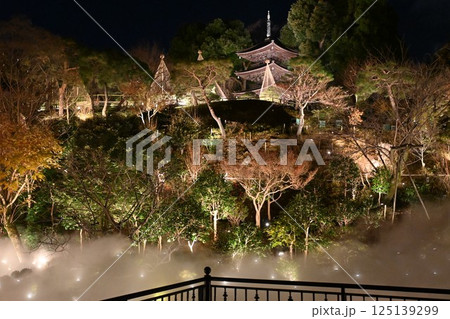 椿山荘の夜景 125139299