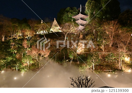 椿山荘の夜景 125139300