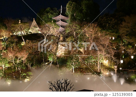 椿山荘の夜景 椿山荘の夜景 125139303