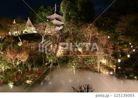 椿山荘の夜景 125139305