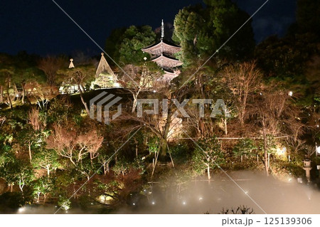 椿山荘の夜景 125139306