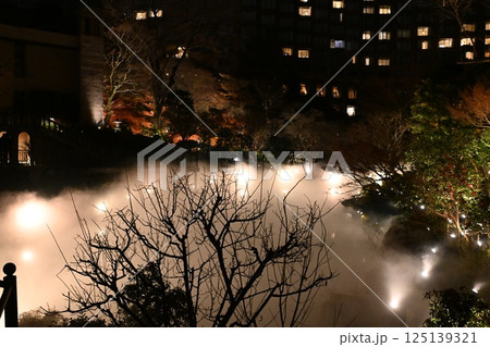 椿山荘の夜景 椿山荘の夜景 125139321