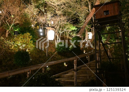 椿山荘の夜景 125139324