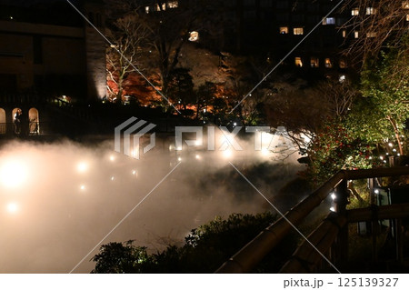 椿山荘の夜景 125139327