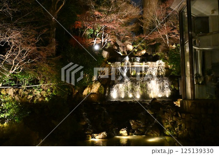 椿山荘の夜景 椿山荘の夜景 125139330