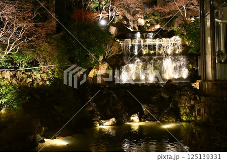 椿山荘の夜景 125139331